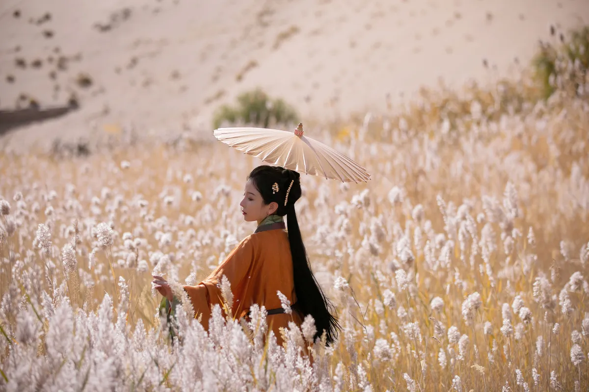 我与远方只隔山几重
