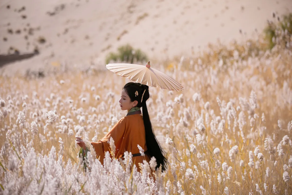 我与远方只隔山几重2