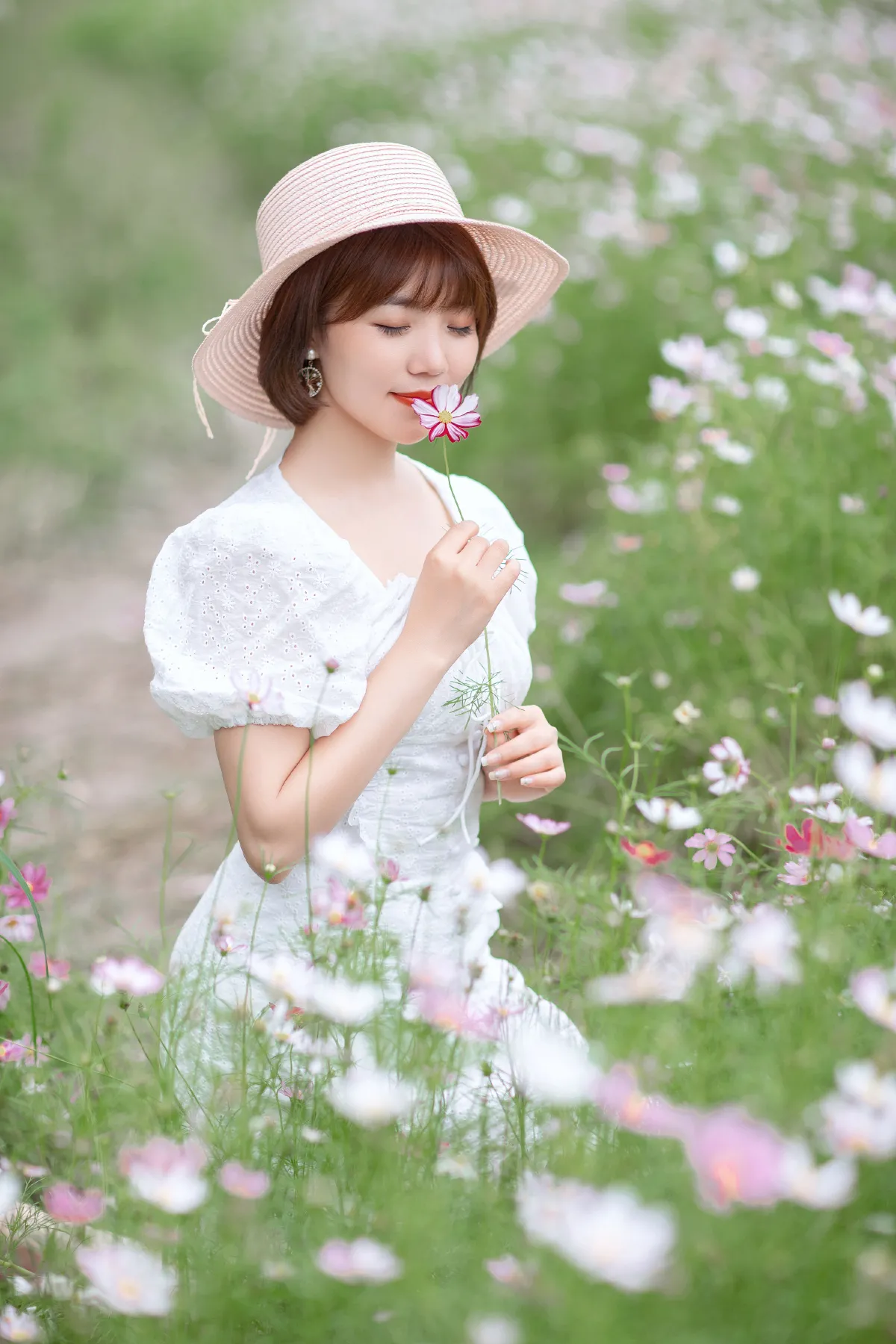 格桑花开1