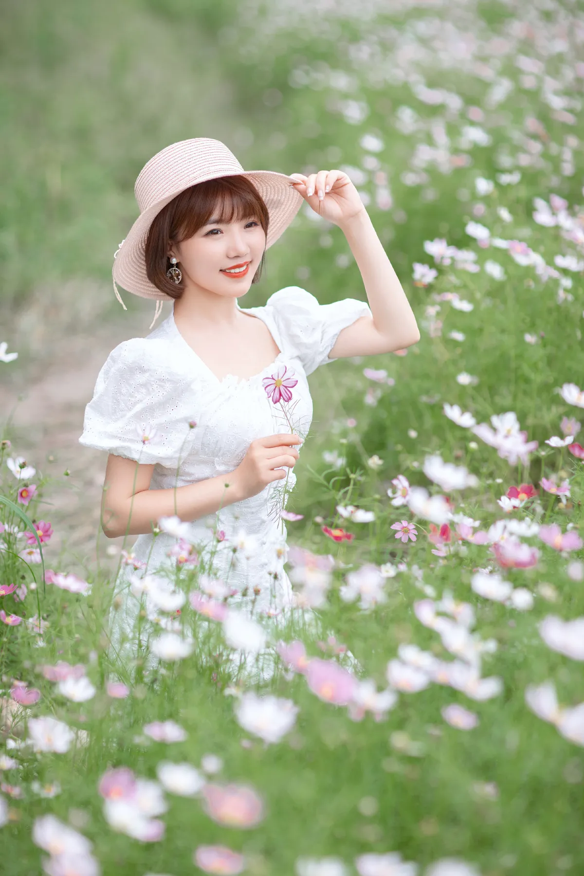 格桑花开