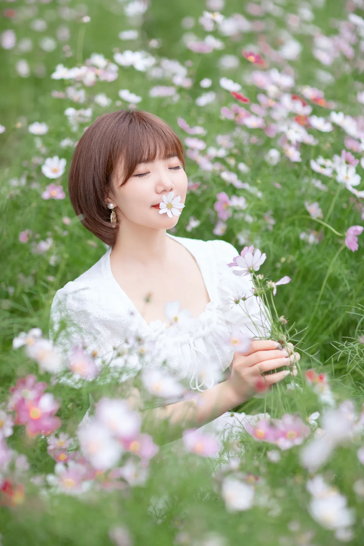 格桑花开