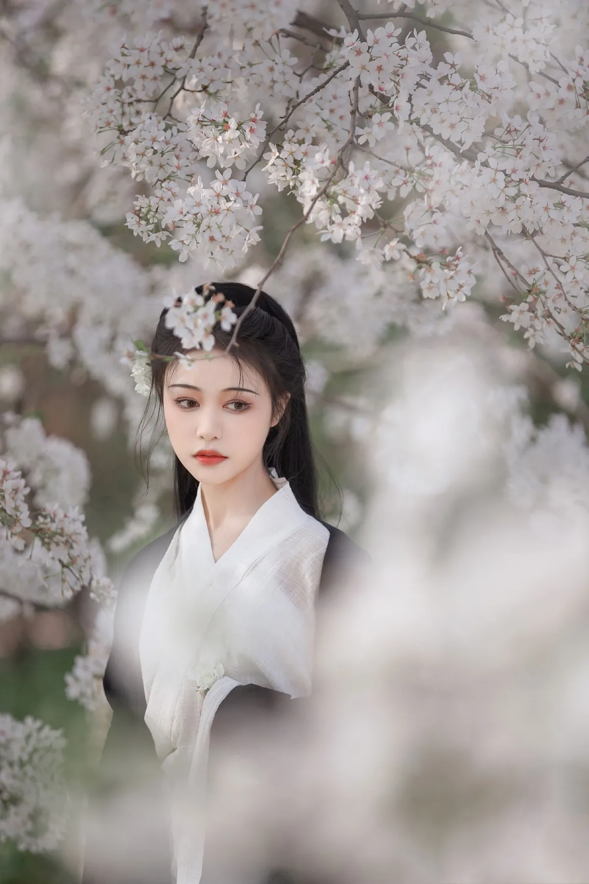 白樱