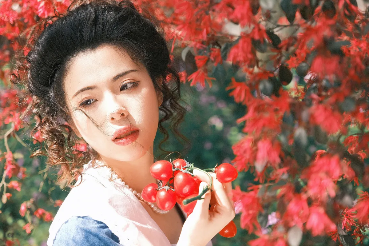 春天的风