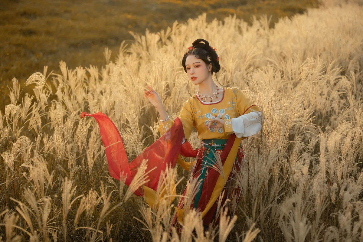 萋萋4