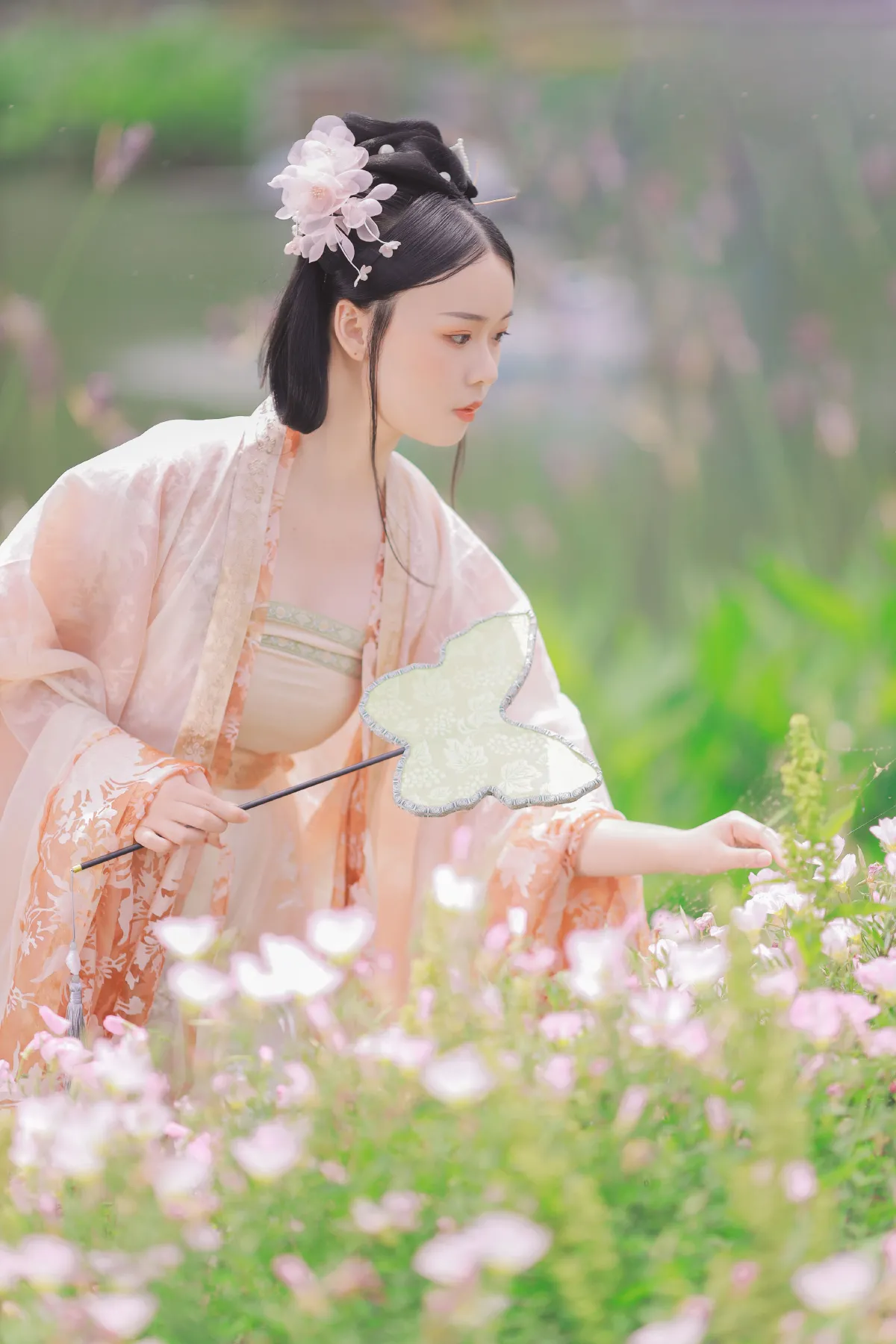 春有约 花不误1