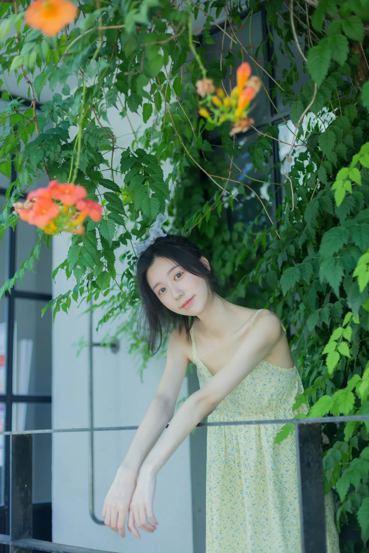 夏日凌霄