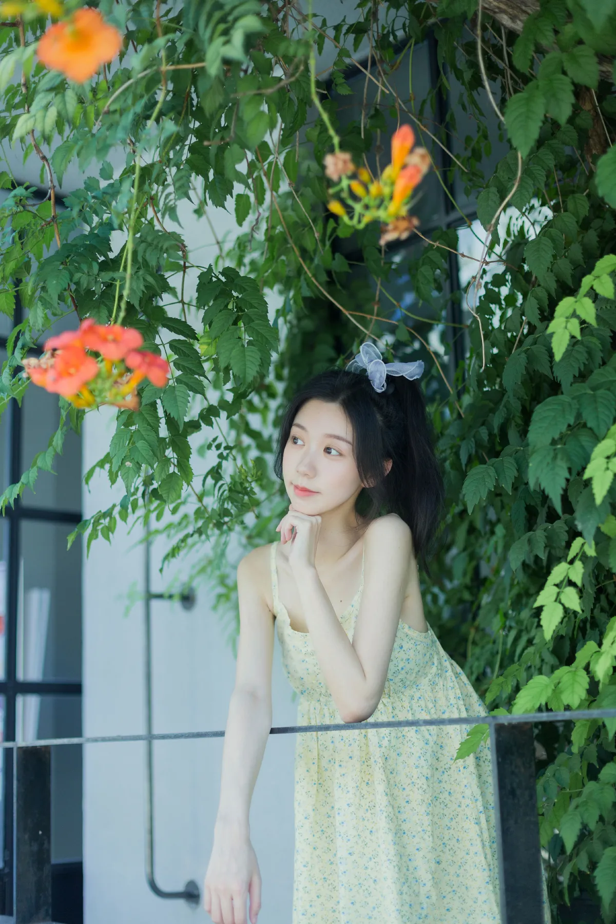 夏日凌霄