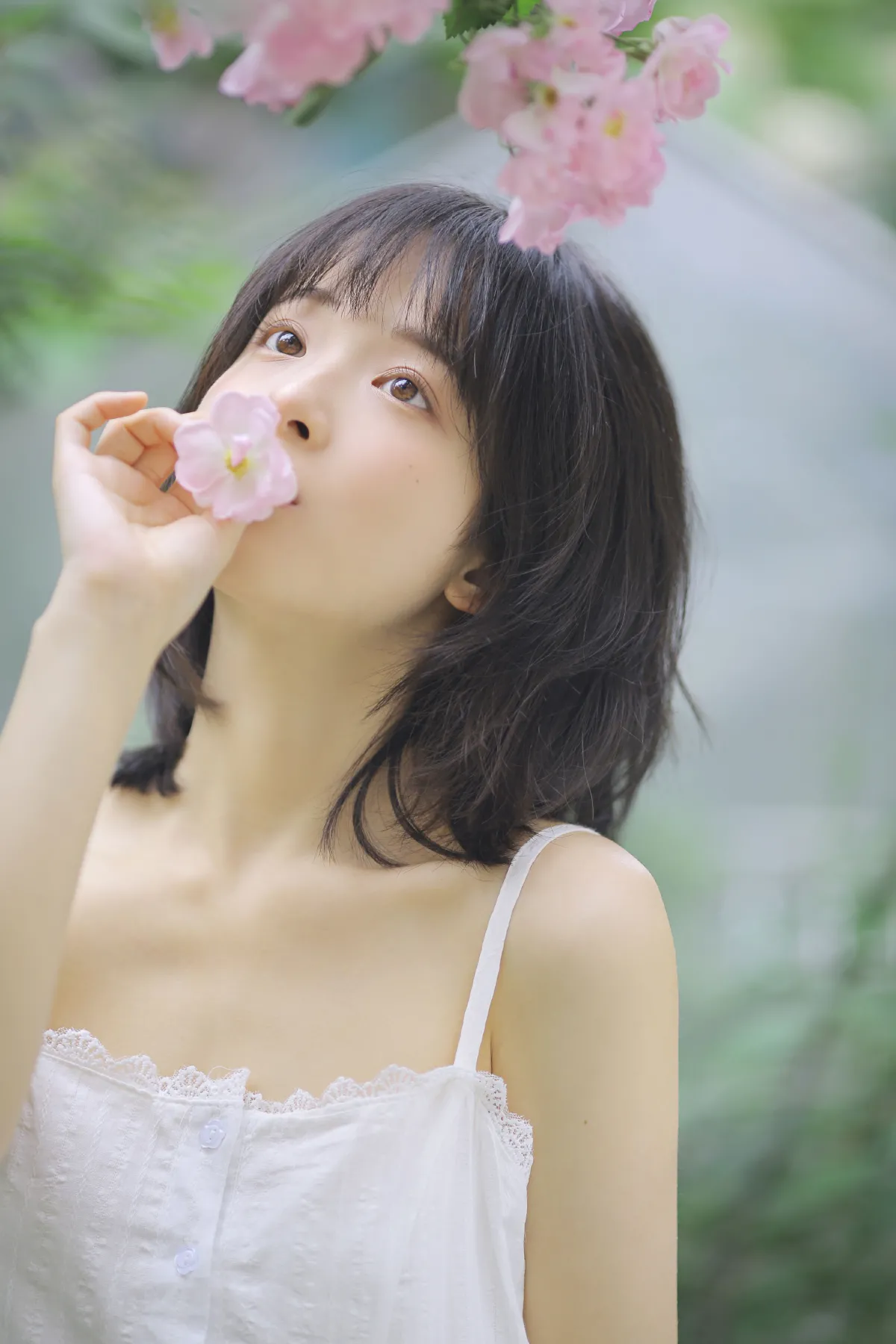花期已致 美好如初