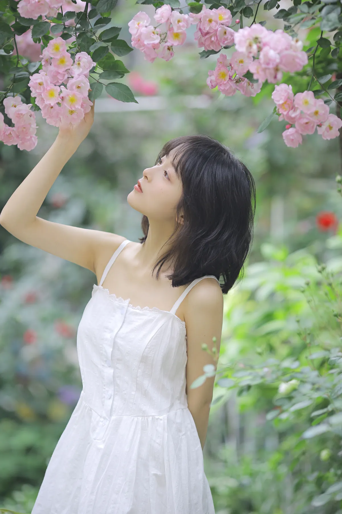 花期已致 美好如初1