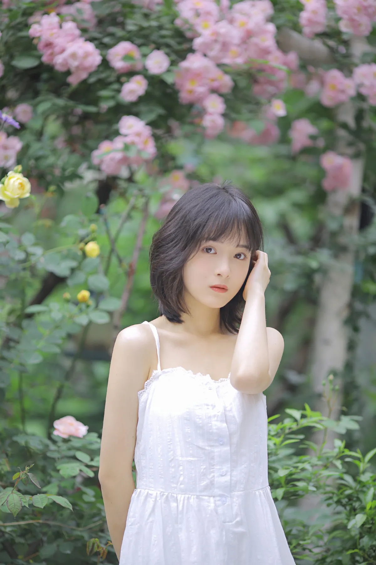 花期已致 美好如初