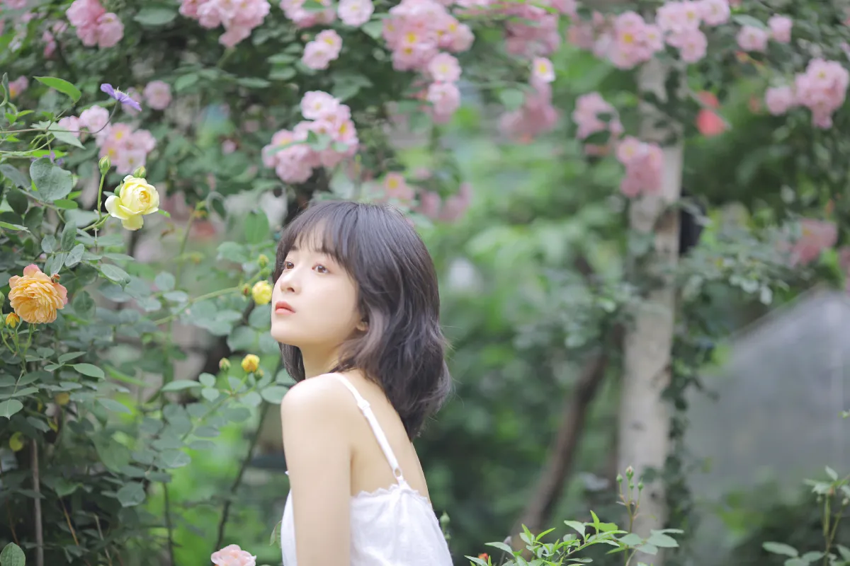 花期已致 美好如初