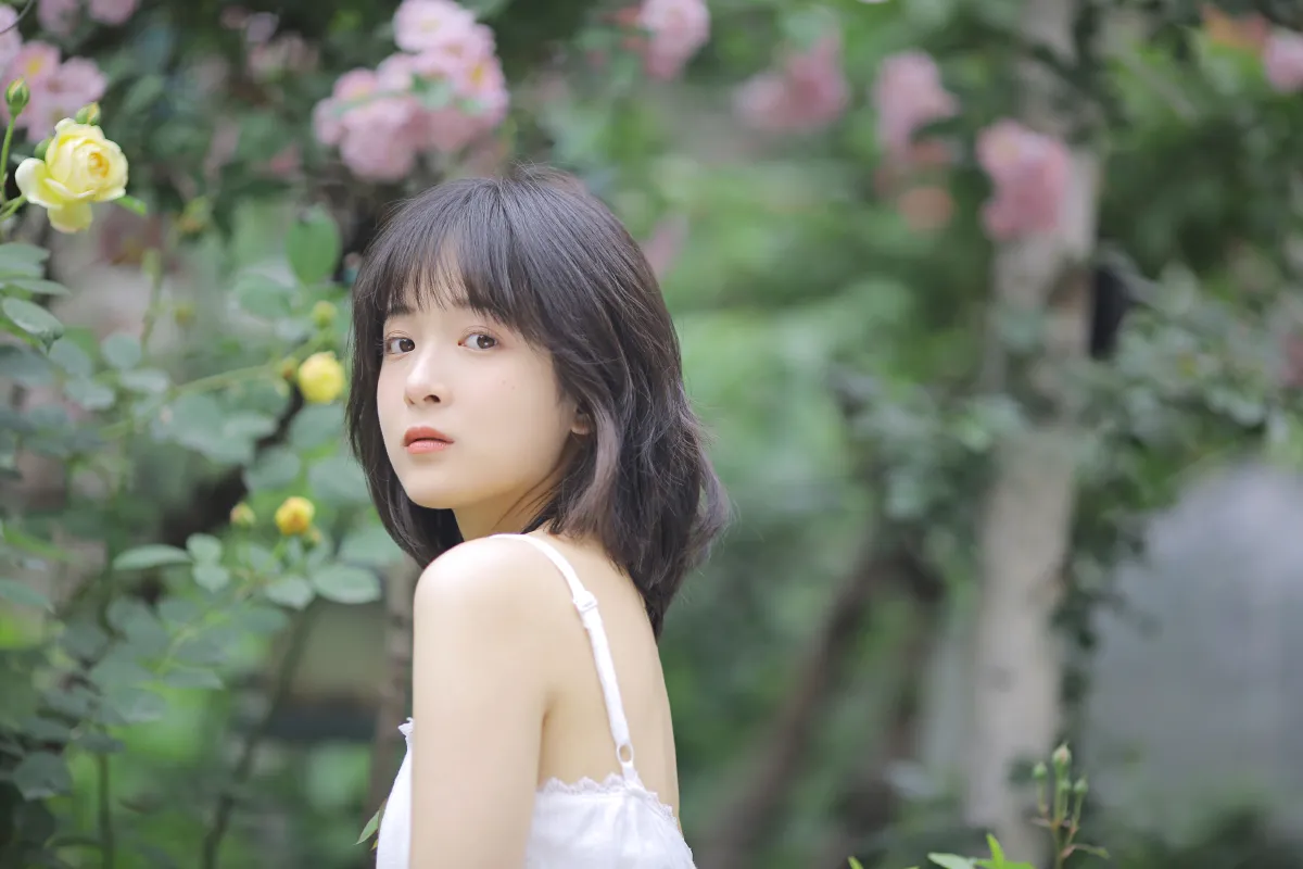 花期已致 美好如初