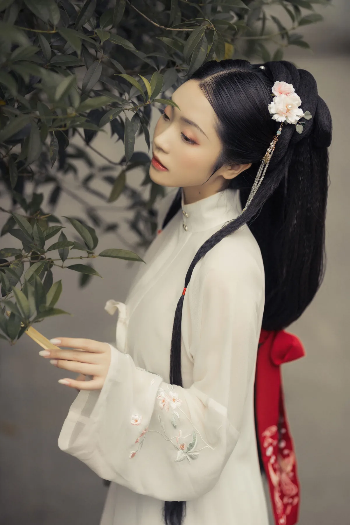 庭院深几许