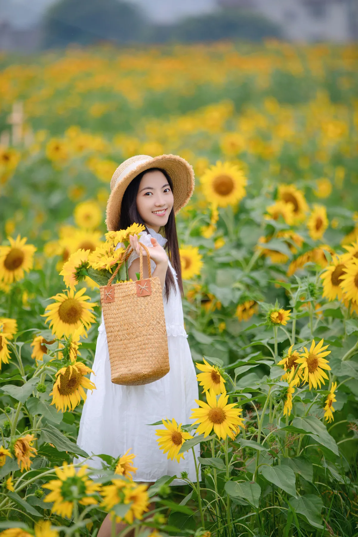 向日葵女孩1