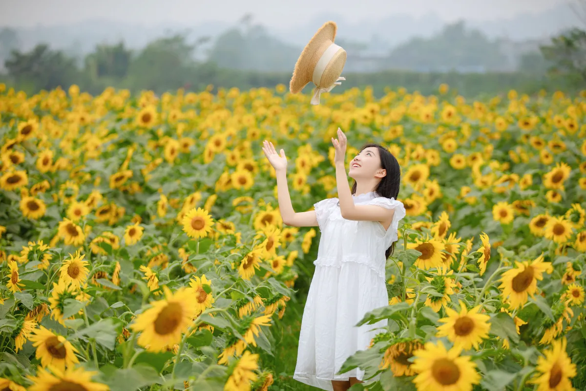 向日葵女孩