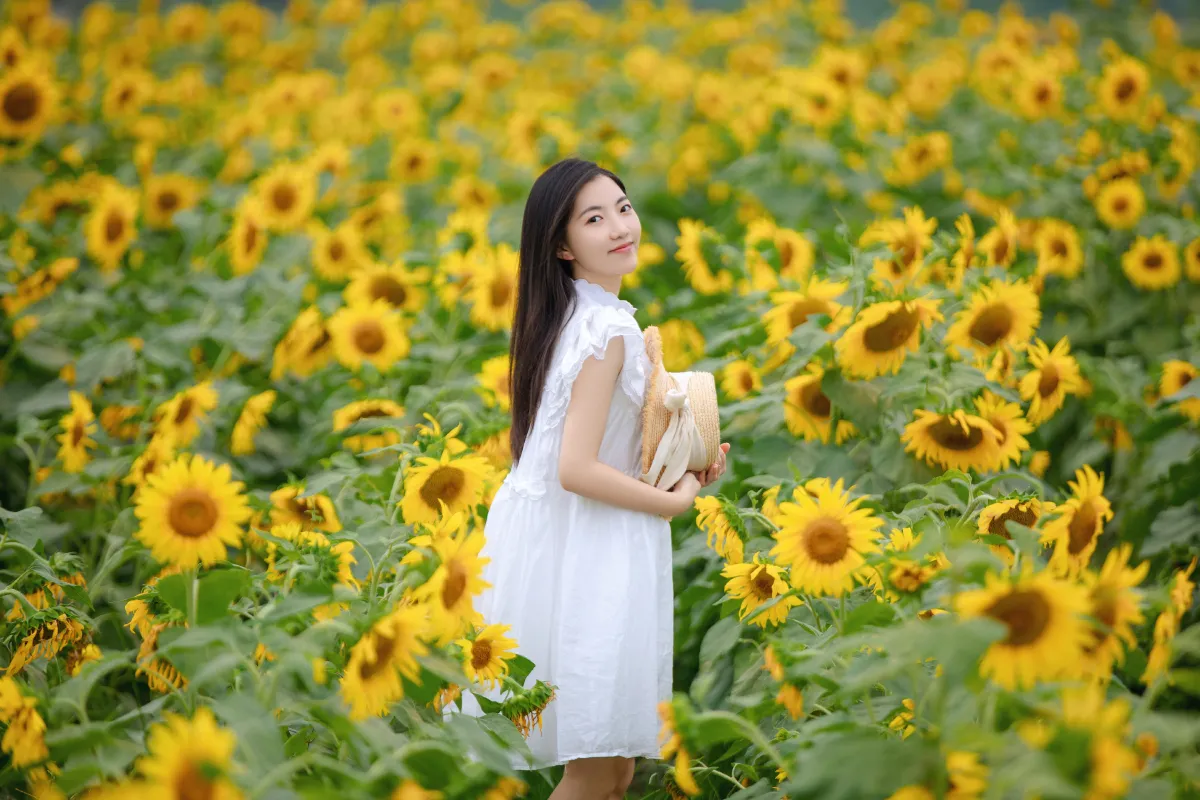 向日葵女孩3