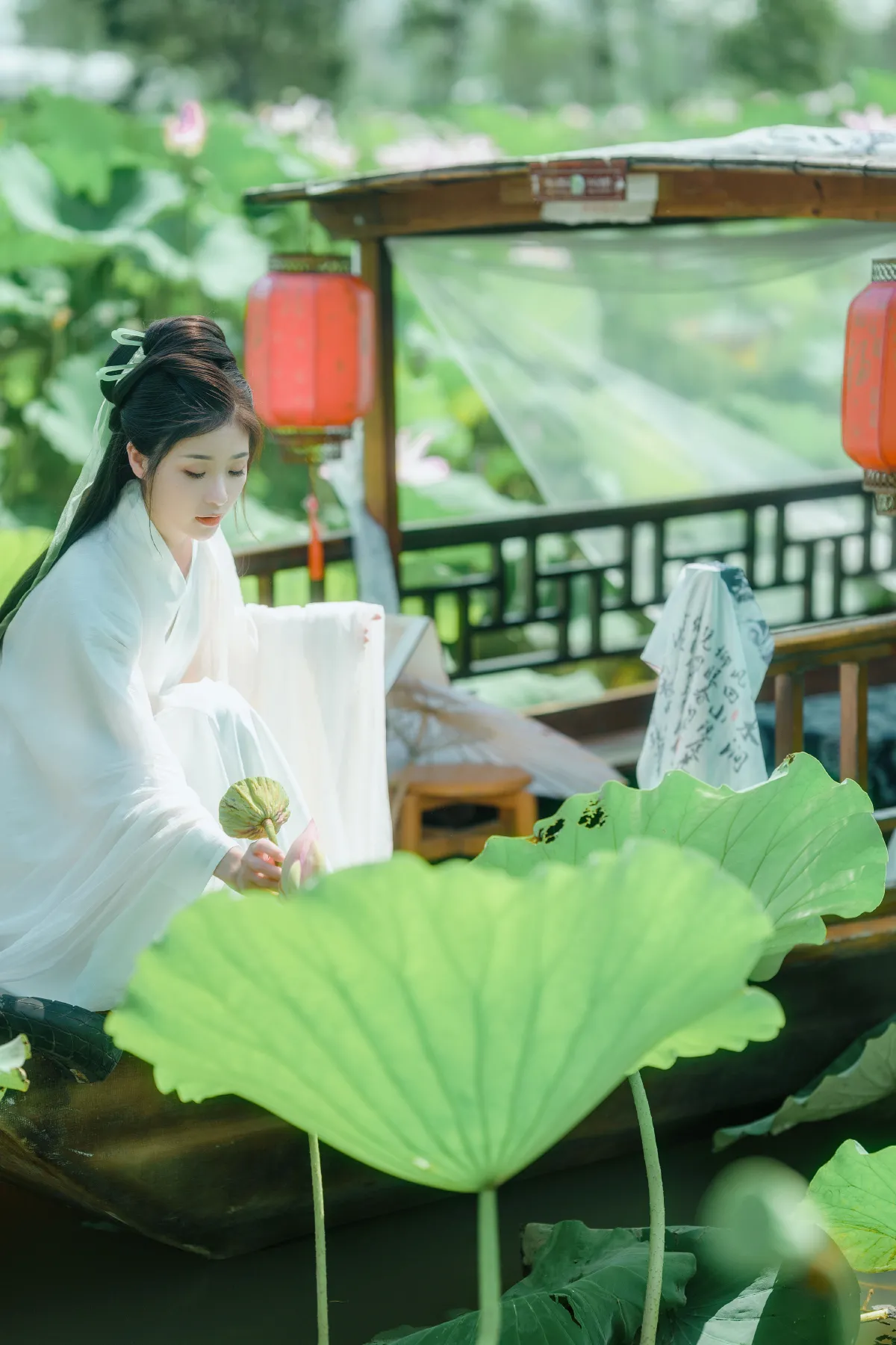 花开盛夏