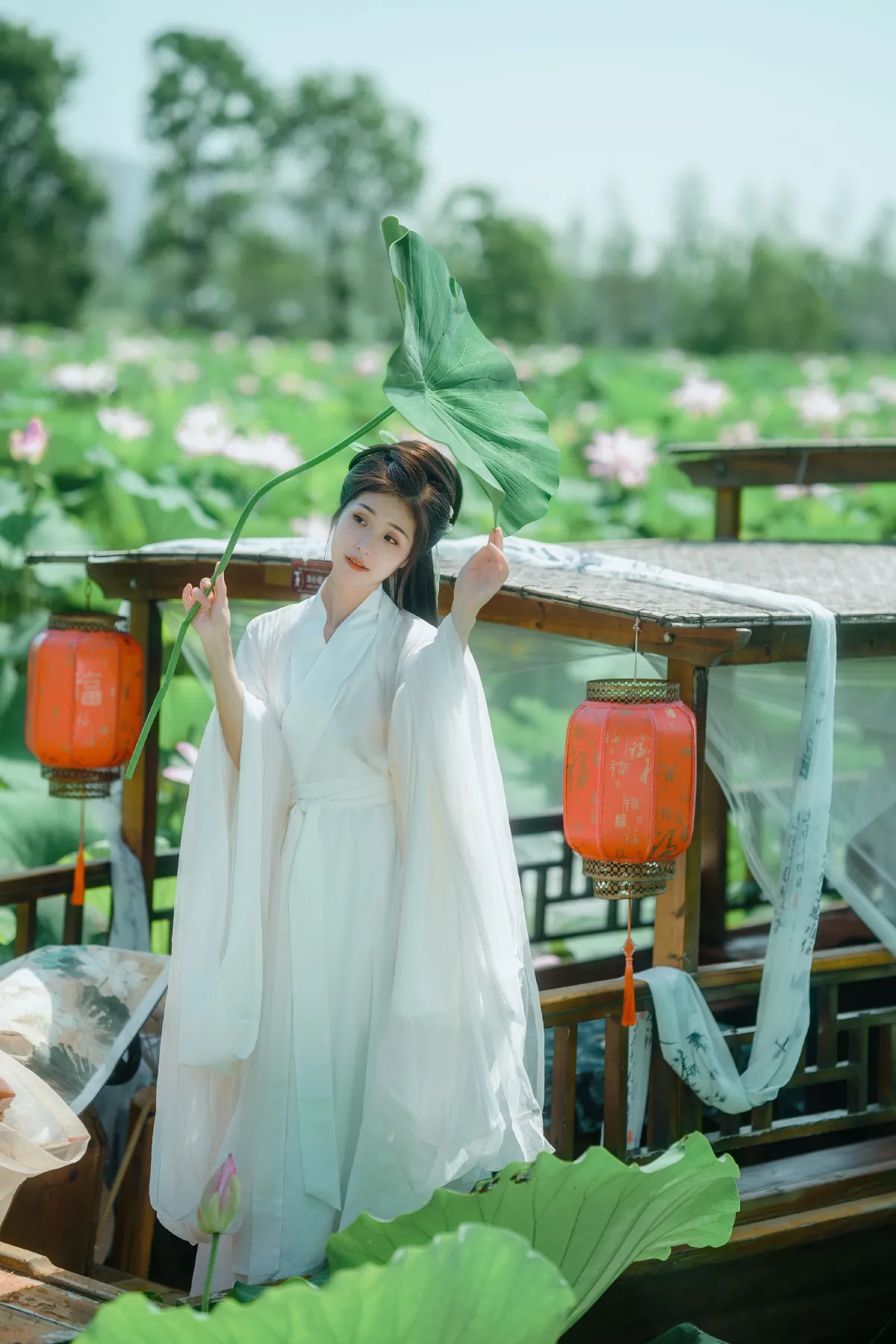 花开盛夏