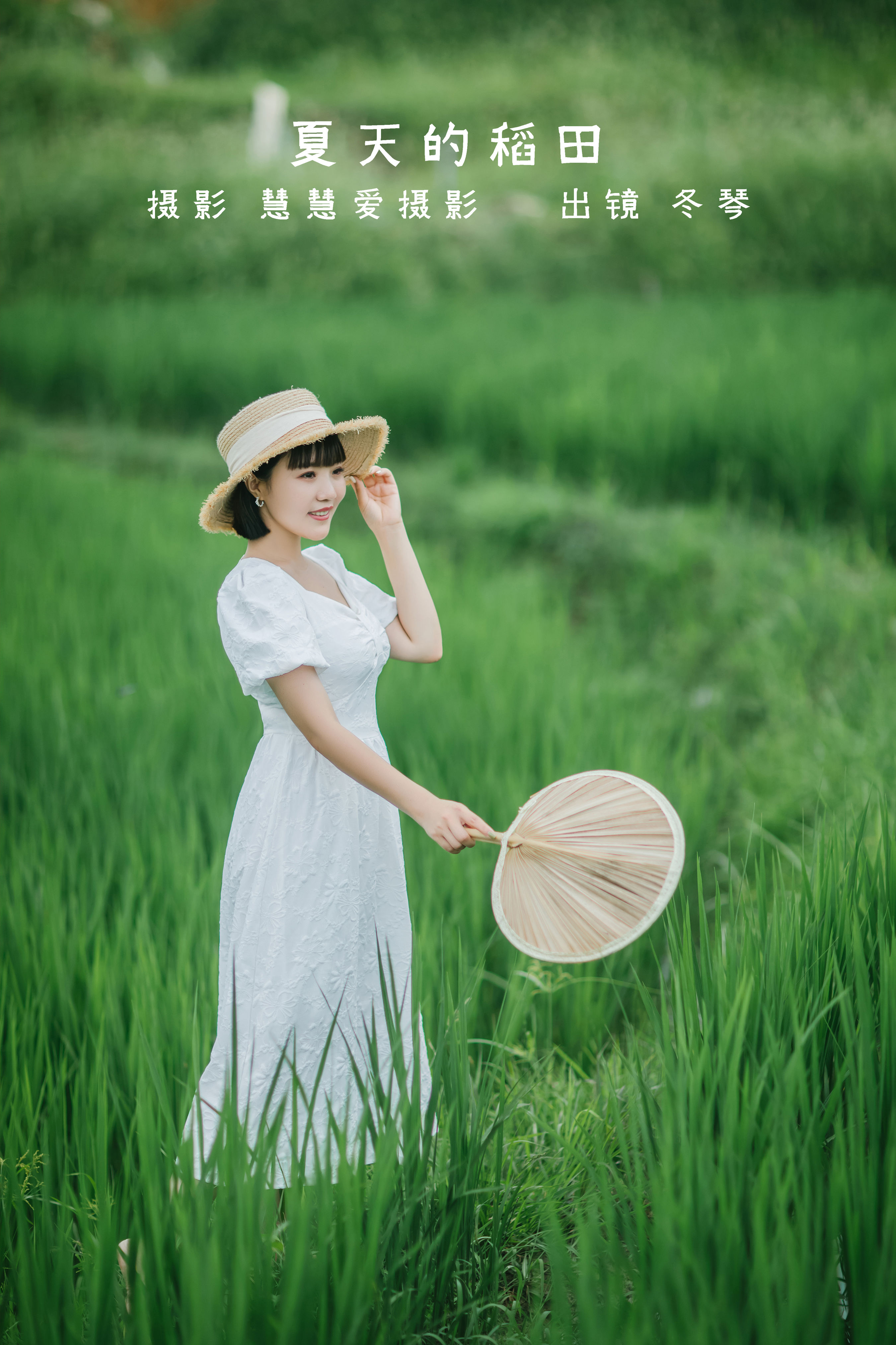 慧慧爱摄影_冬琴《夏天的稻田》美图作品图片1