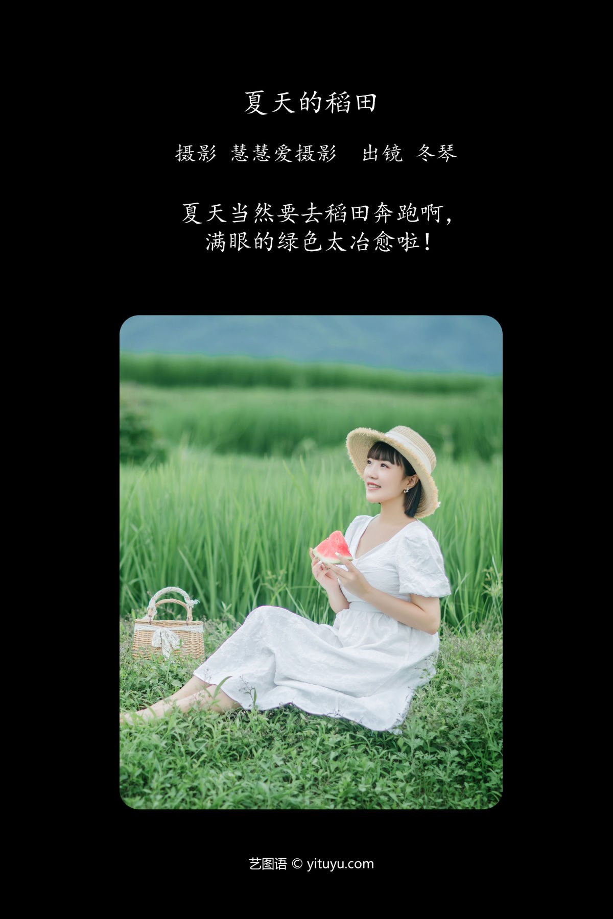 慧慧爱摄影_冬琴《夏天的稻田》美图作品图片2