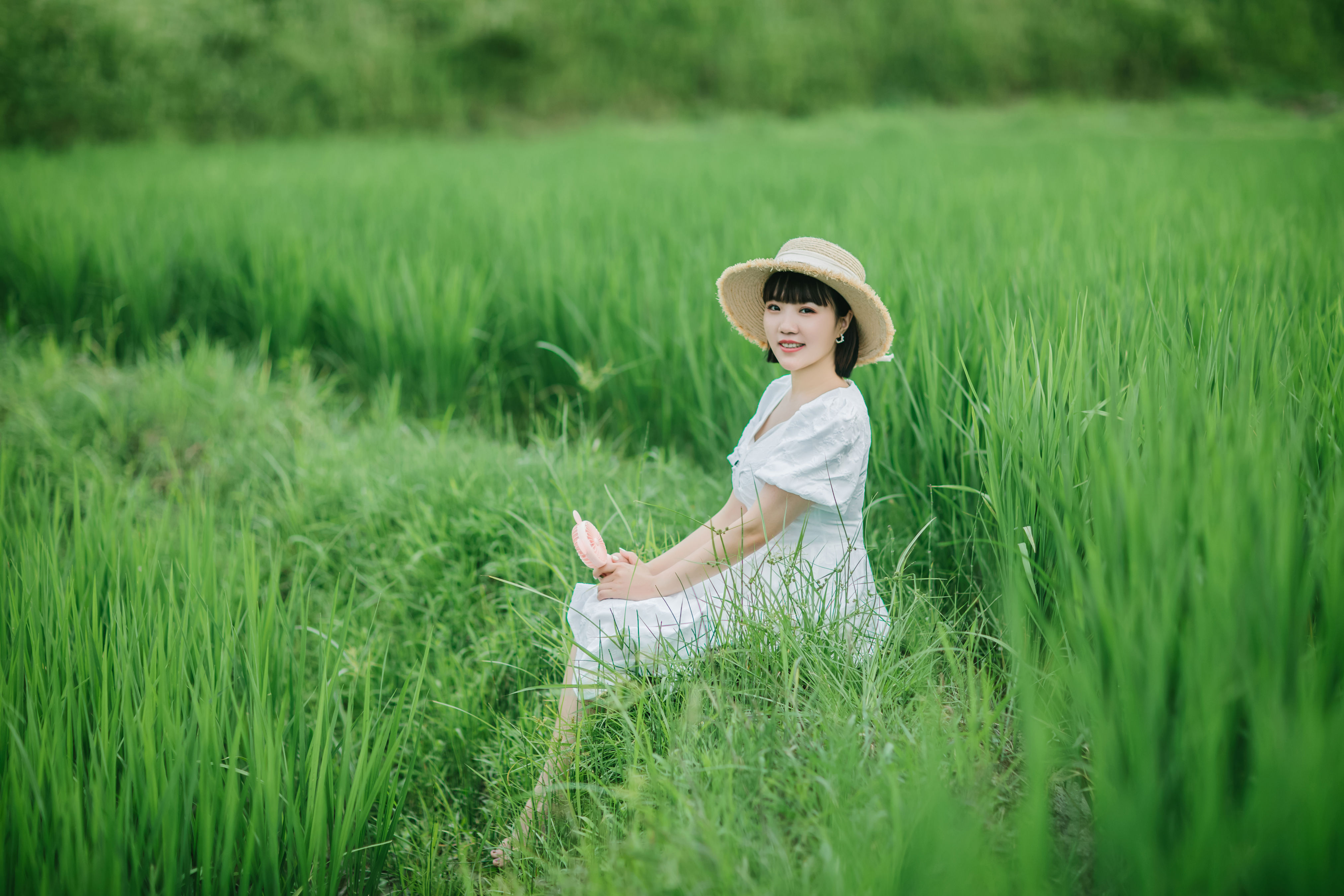 夏天的稻田