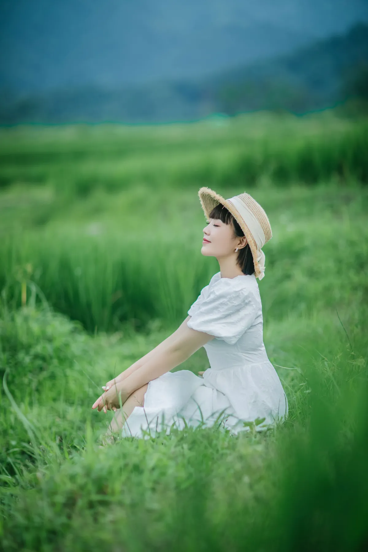 夏天的稻田