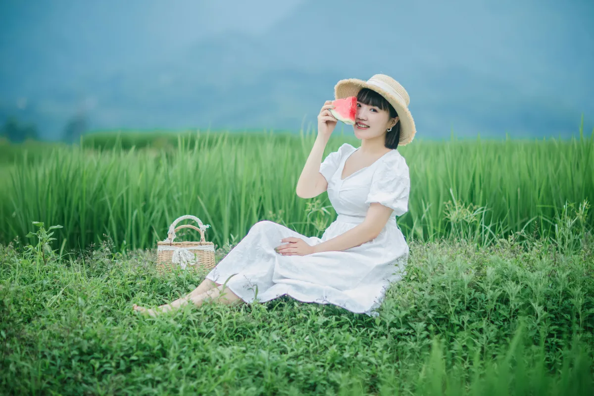 夏天的稻田