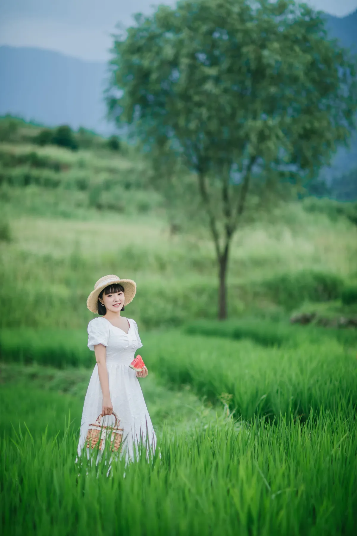 夏天的稻田3