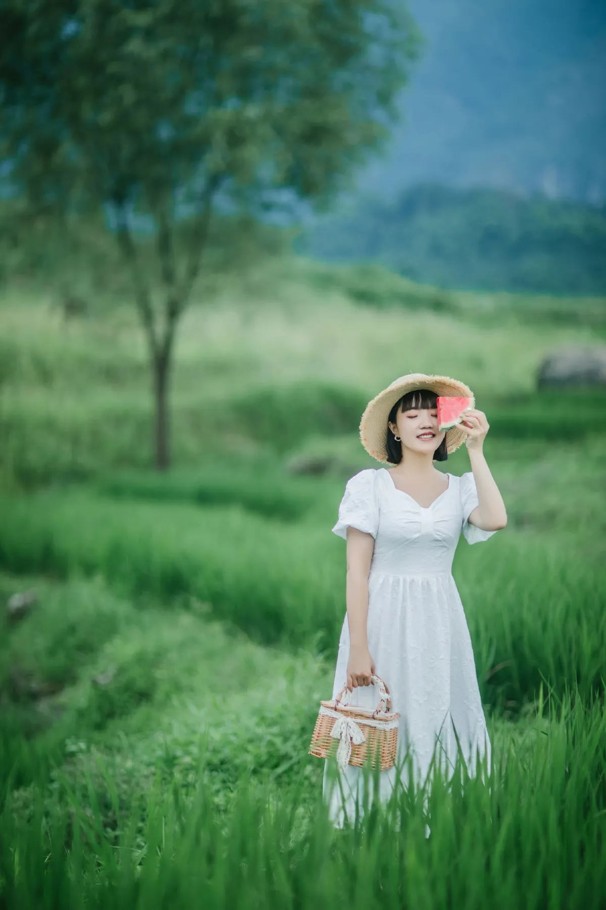 夏天的稻田