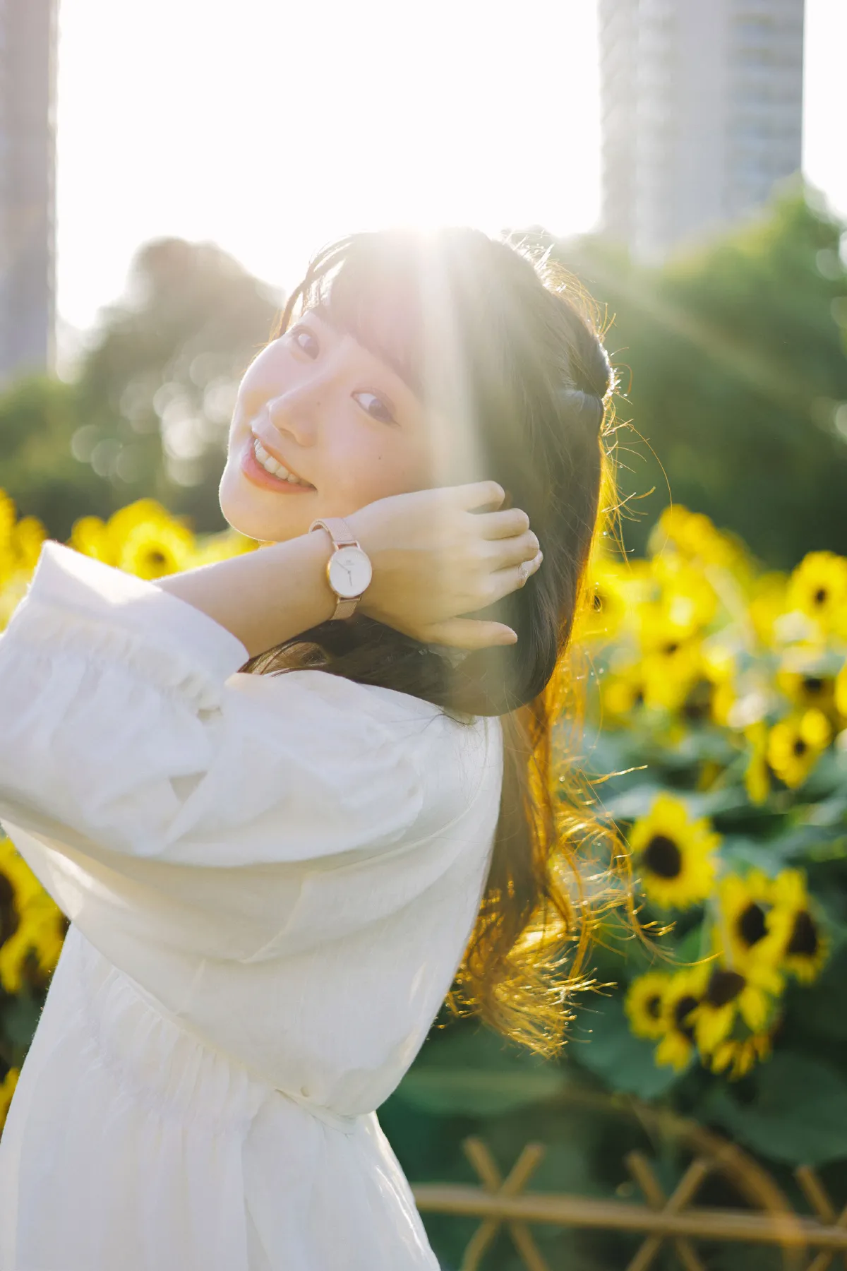 阳光下的花和你
