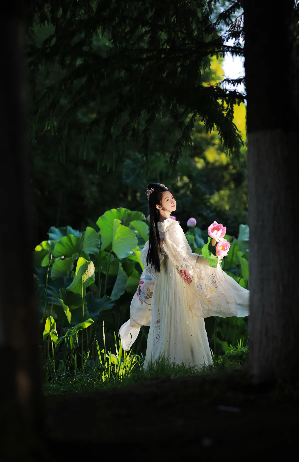 无清风