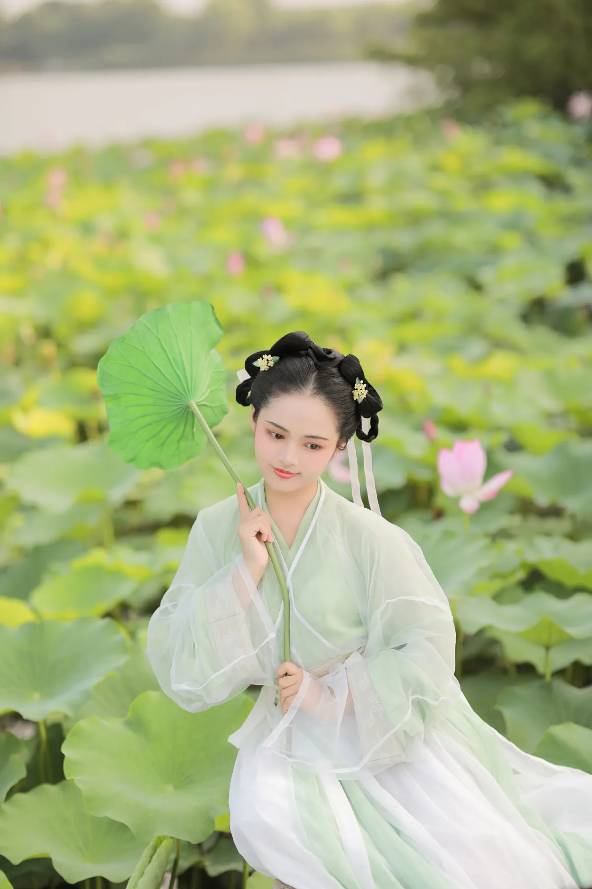 荷趣