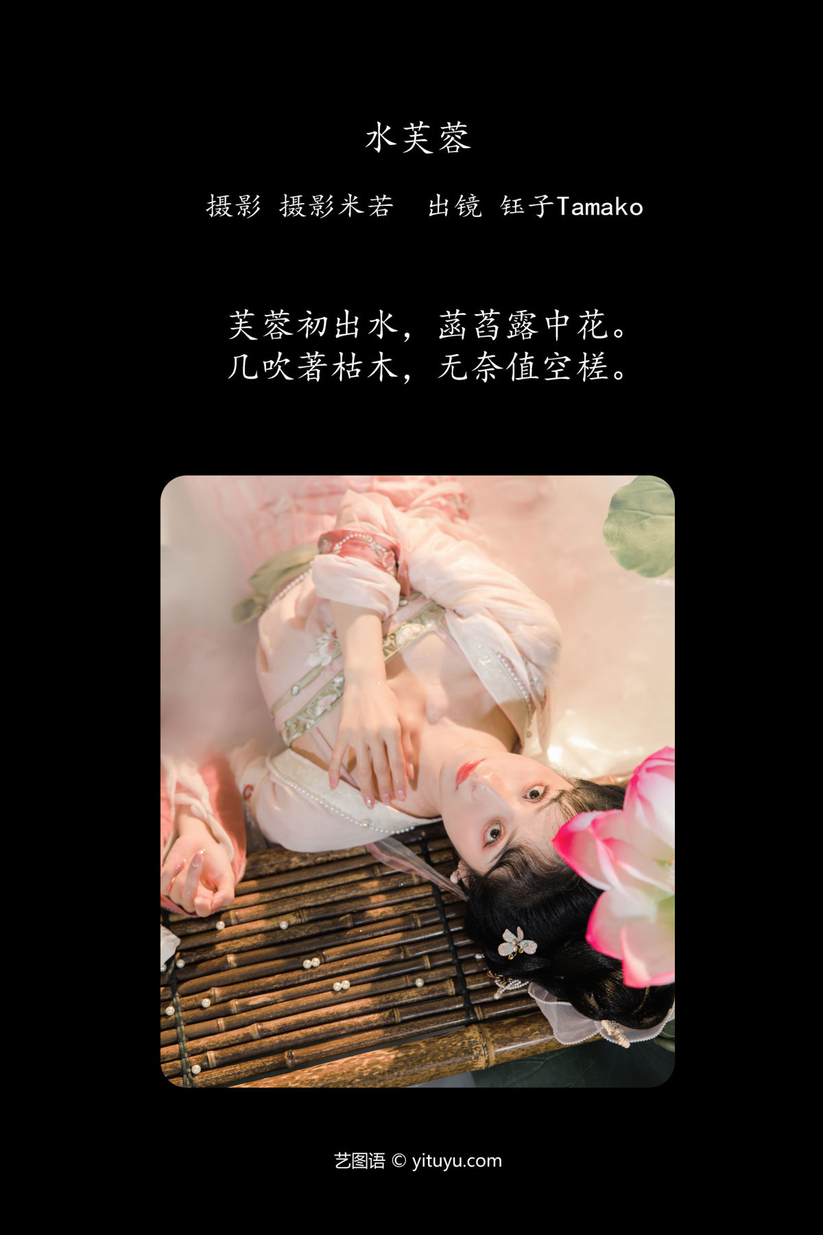 摄影米若_钰子-舞者王钰《水芙蓉》美图作品图片2