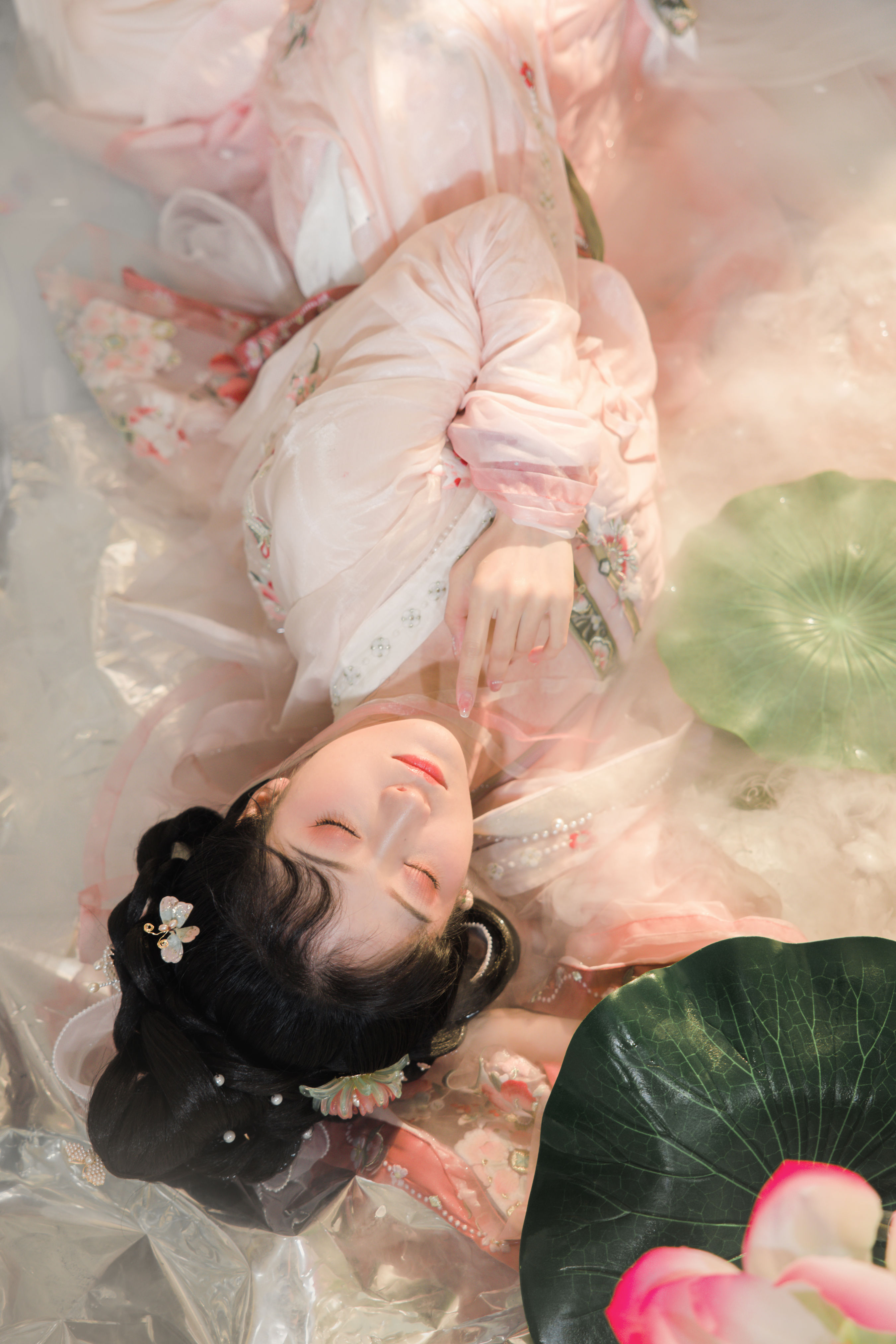 水芙蓉