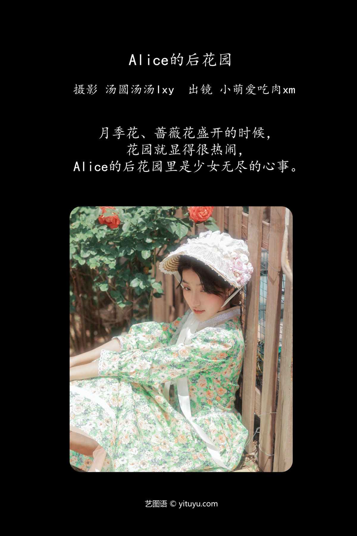 汤圆汤汤lxy_小萌爱吃肉xm《Alice的后花园》美图作品图片2