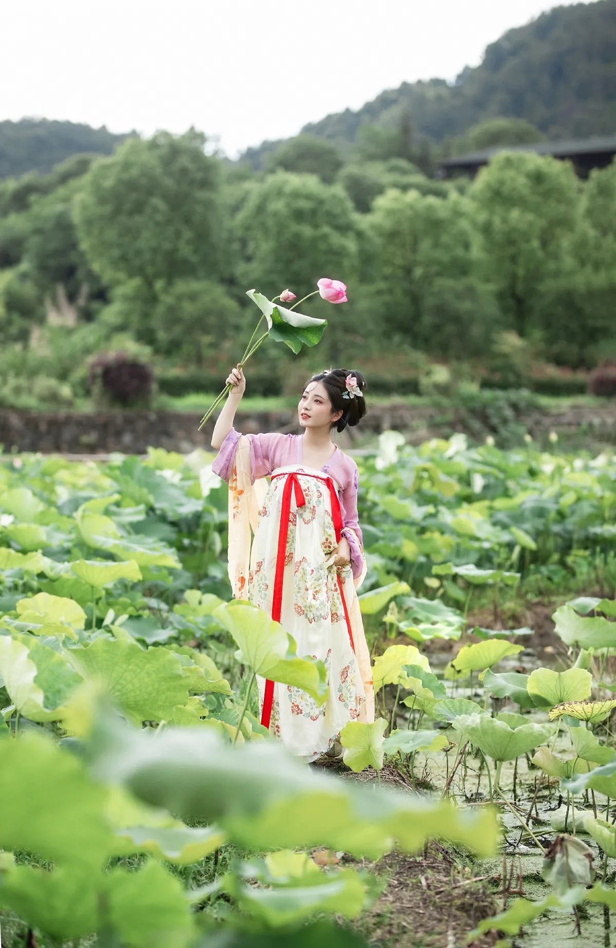 花间_小温暖想要个大太阳 《采荷》美图作品图片3