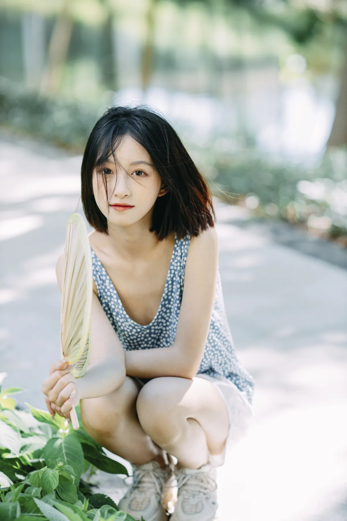 明亮的夏日