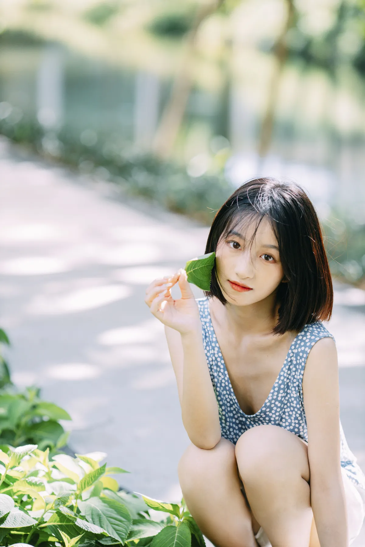 明亮的夏日3