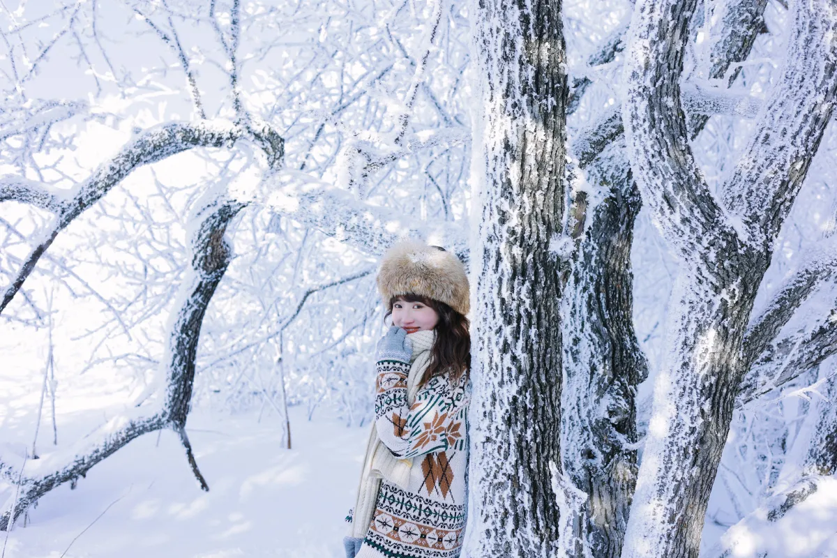 北国的雪