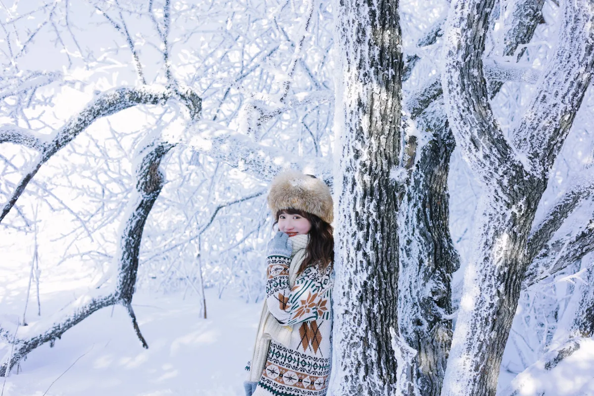 北国的雪1
