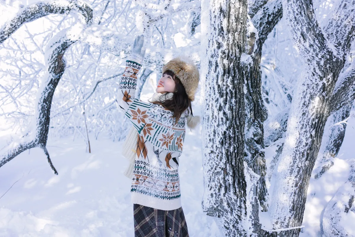 北国的雪