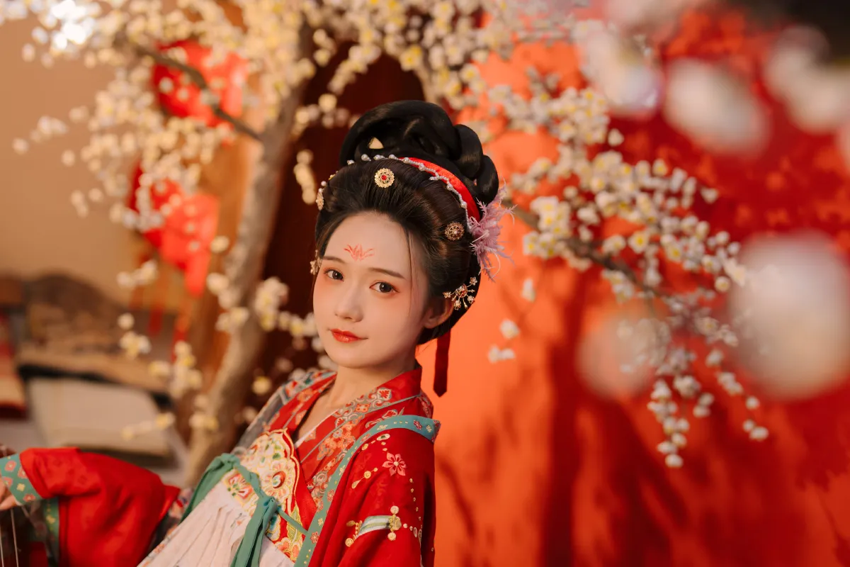 不负梦华1