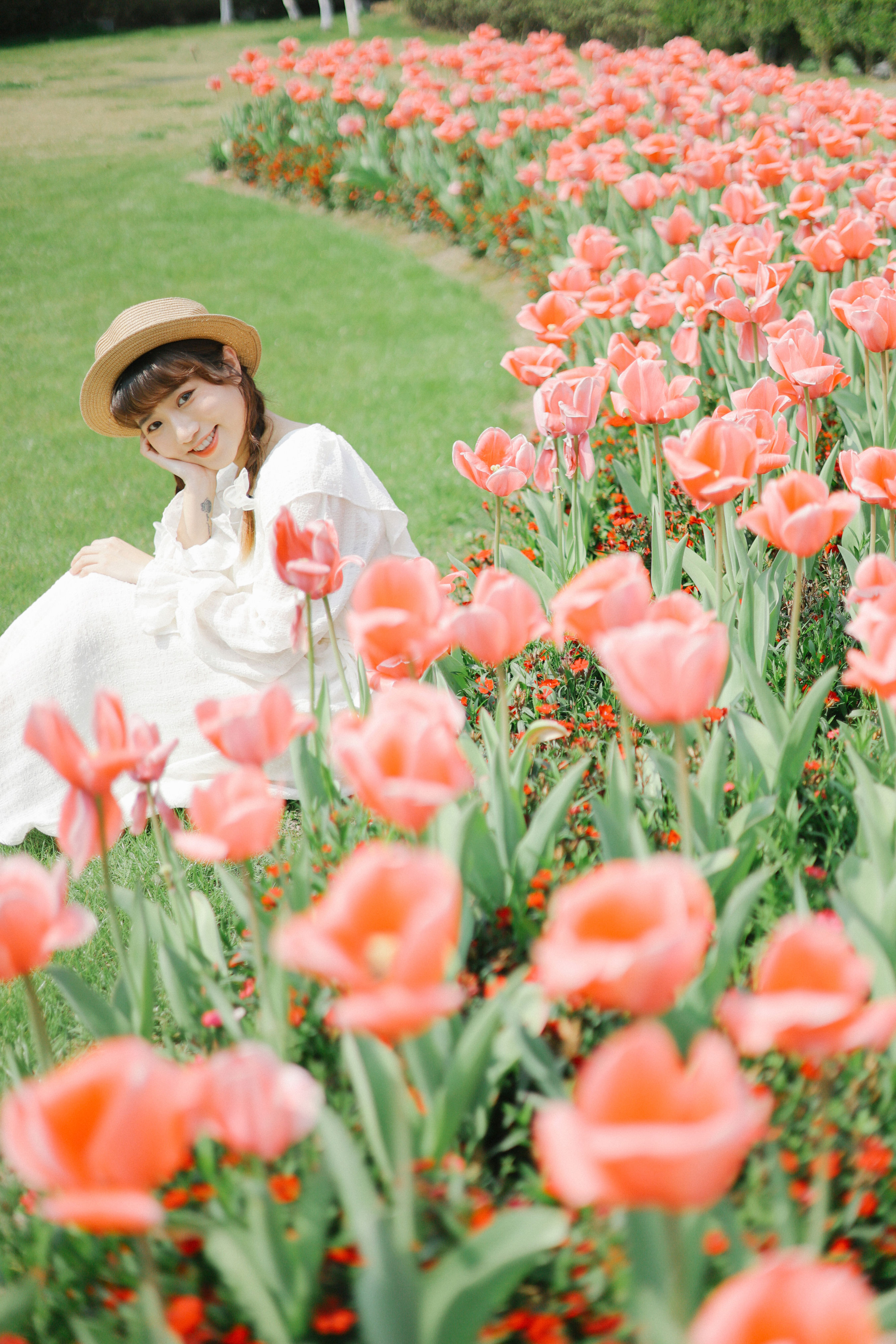 郁金香花开