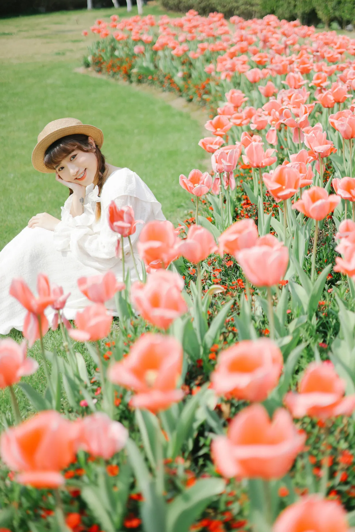 郁金香花开1