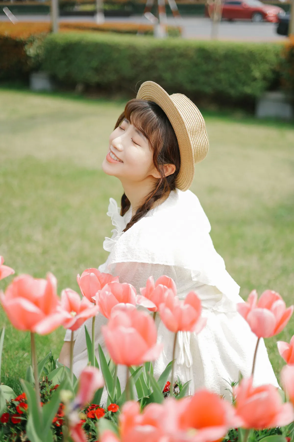 郁金香花开