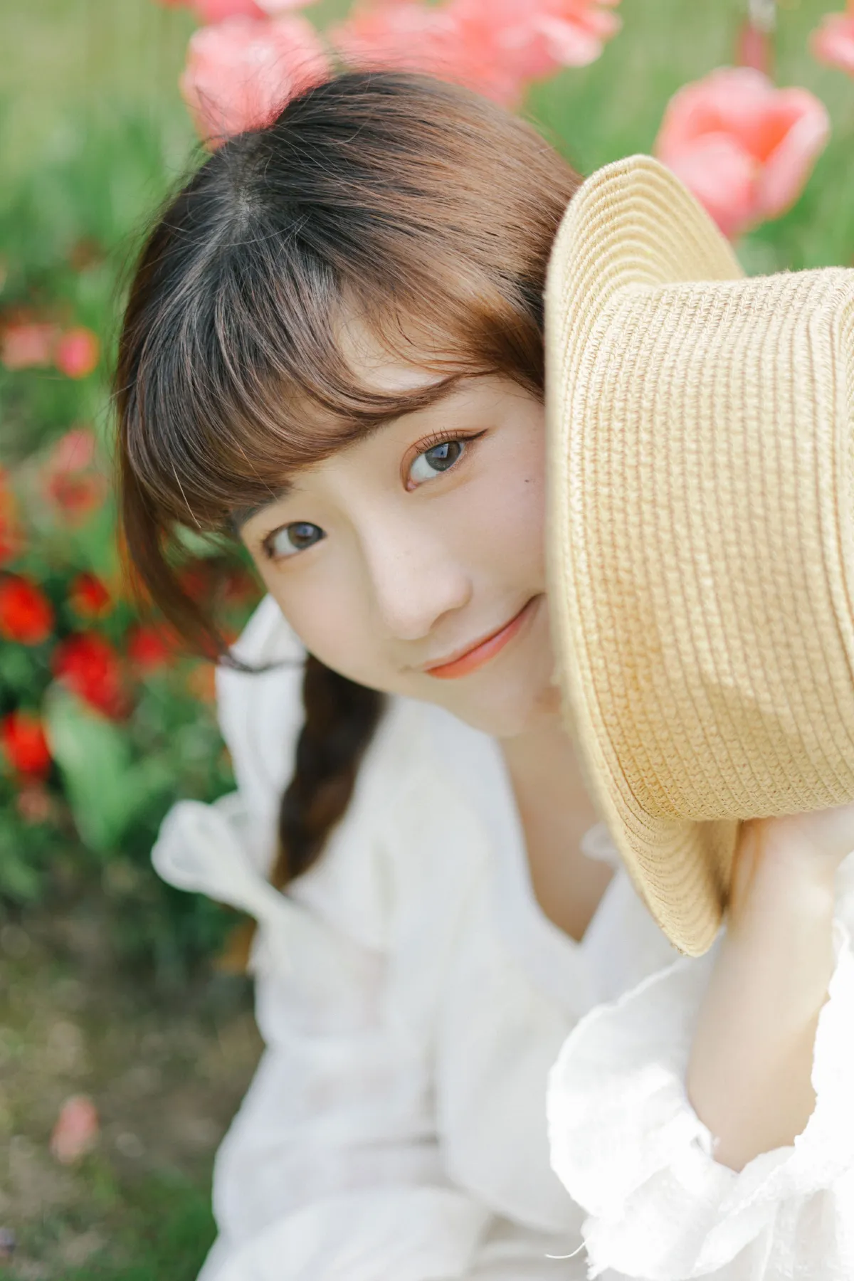 郁金香花开