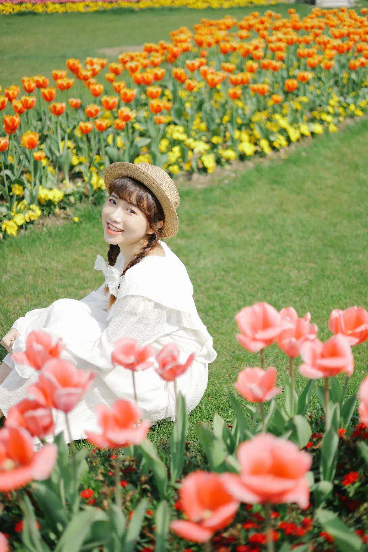郁金香花开