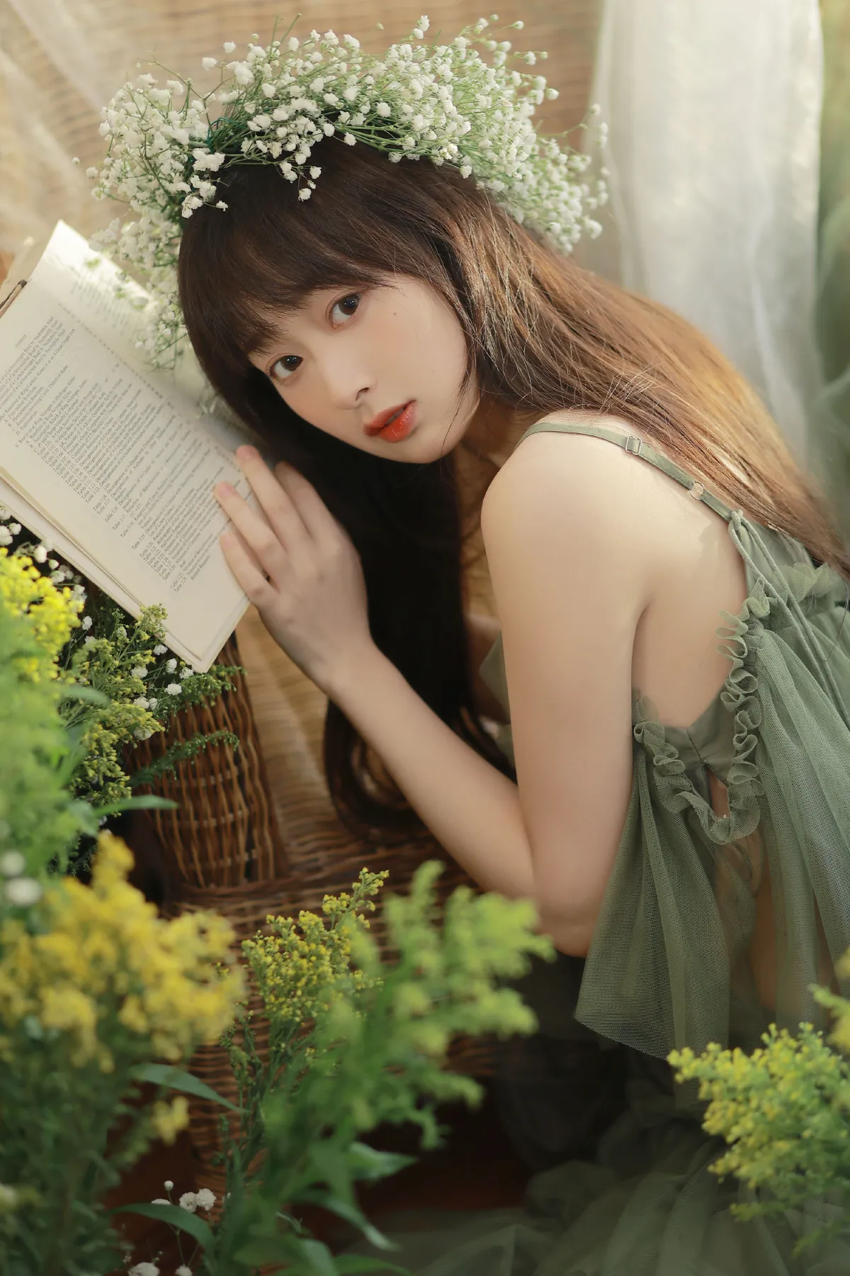 春日来信