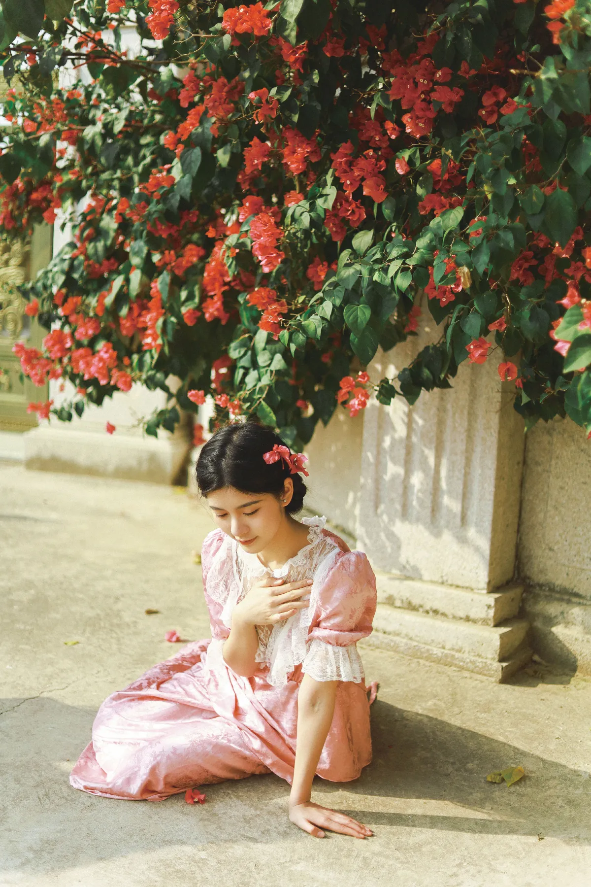 三角梅与少女