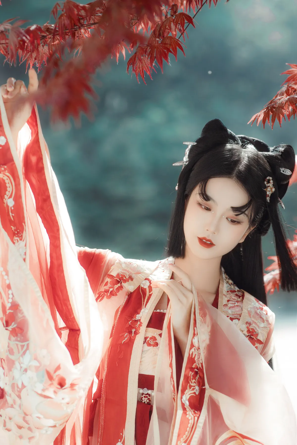 小狐狸1